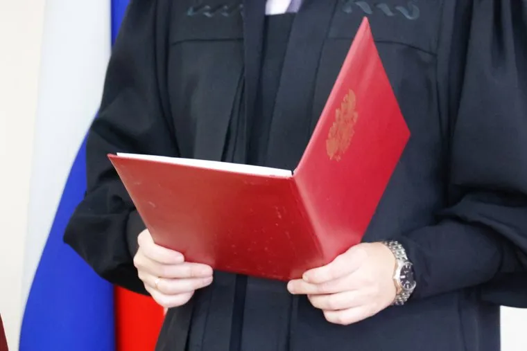 Первое судебное заседание по делу Федотовой Анны. Курган