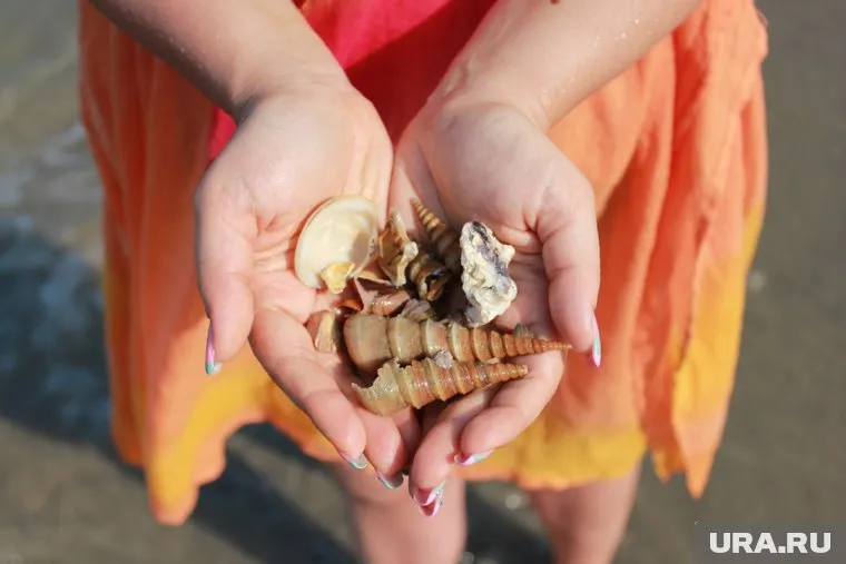 Туристам нежелательно вывозить из Турции раковины и морскую гальку