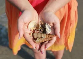 Фотография из галереи