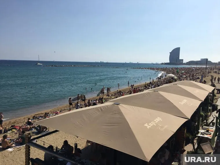 Выдача документов ожидается уже в мае