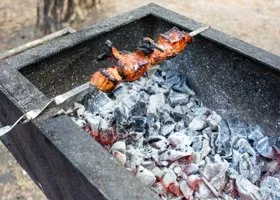 За сутки 22 свердловчанина нарушили запрет властей ради шашлыков