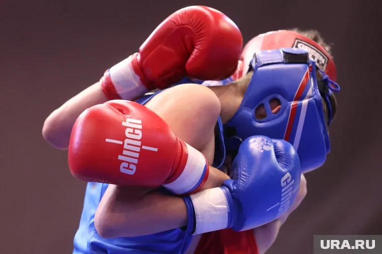 Курганский боксер показал мастерство (архивное фото)