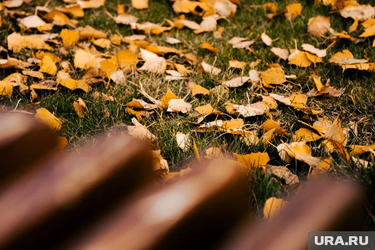 Резкие перепады температуры обещают в Кургане и Шадринске