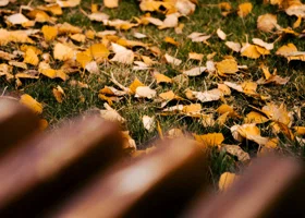 Погодные качели ожидаются в Кургане и Шадринске