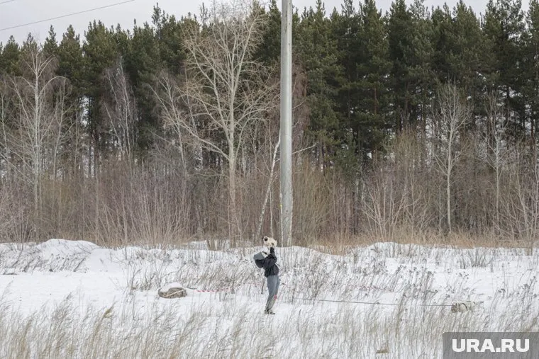 Снег выпал в горах на севере Свердловской области