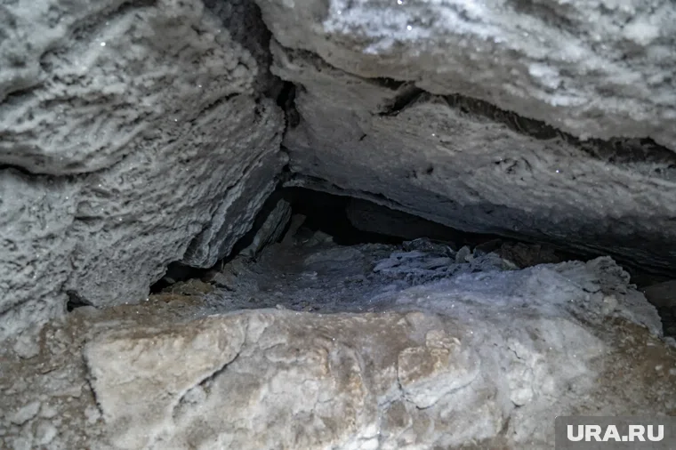 В прокуратуре отметили, что в случае выявления нарушений будут приняты соответствующие меры