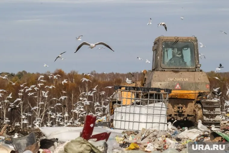 Мусоросортировочный завод помог горожанам найти несколько миллионов рублей