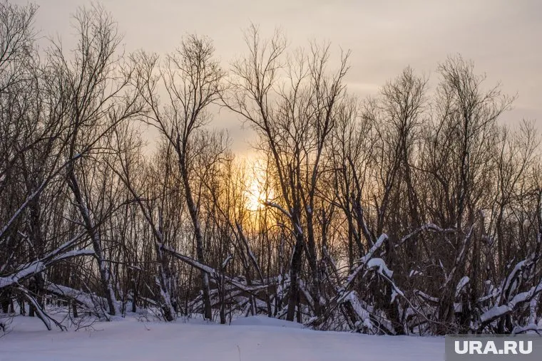 Февраль встретит югорчан теплом