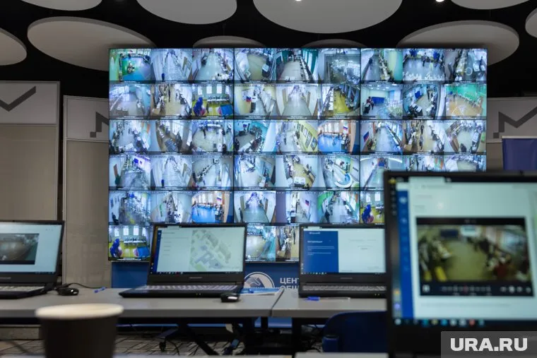 В Центре общественных наблюдений рассказали, с каким запросом чаще всего обращались свердловчане