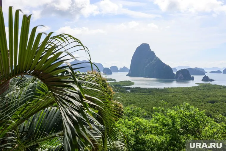 Градус на шоу "Звезды в джунглях" повышается, новичков больше не будет 