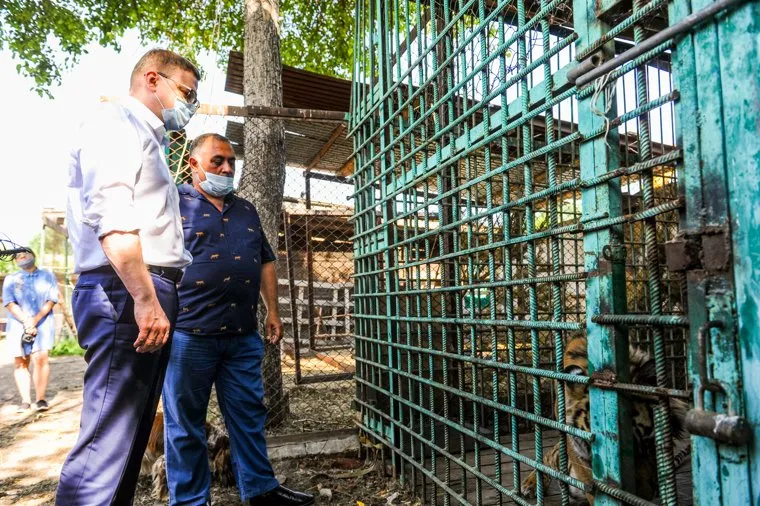 Приют диких животных «Спаси меня» Карена Даллакяна. Челябинск