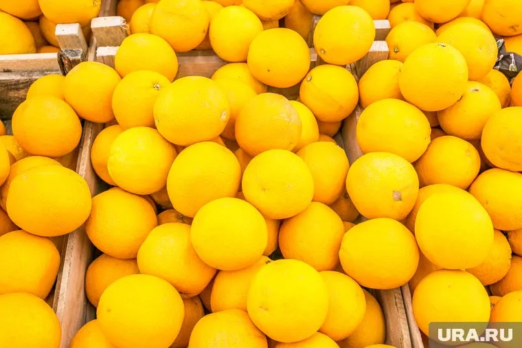 Зараженные вредителем апельсины не опасны для потребителя