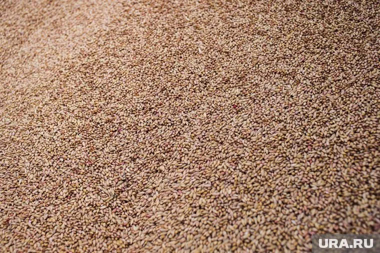 Первое судно с зерном покинуло порт Одессы