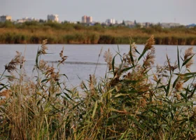 В Кургане рядом с озером Левашово запустят новую стройку