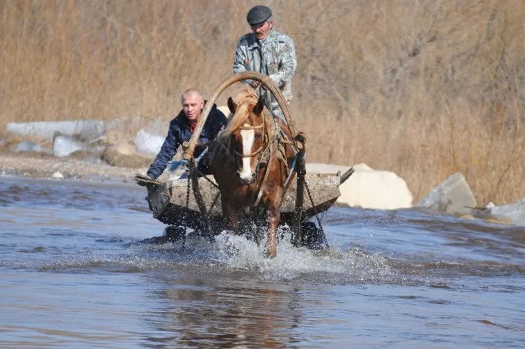 Паводок. Челябинская область, потоп, паводок, конная повозка, телега, наводнение