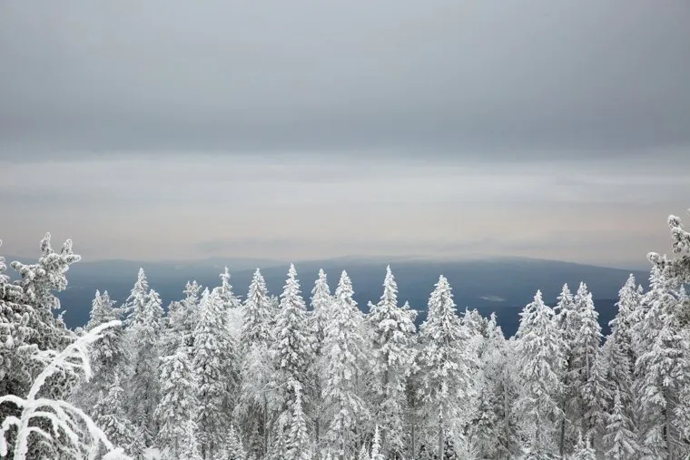 Буддистский монастырь Шедруб Линг. Качканар, зима, горы, тайга