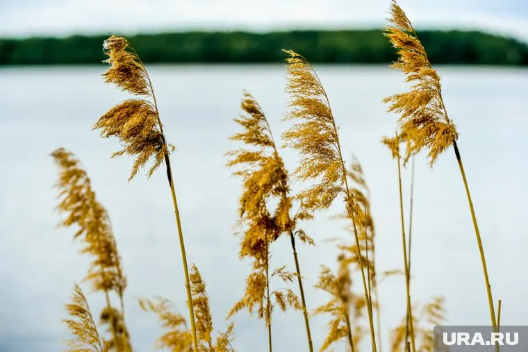 Озеро Узункуль из-за соленой щелочной воды является лечебным