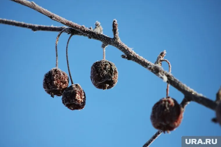 Пермяков предупредили о похолодании до 0 градусов