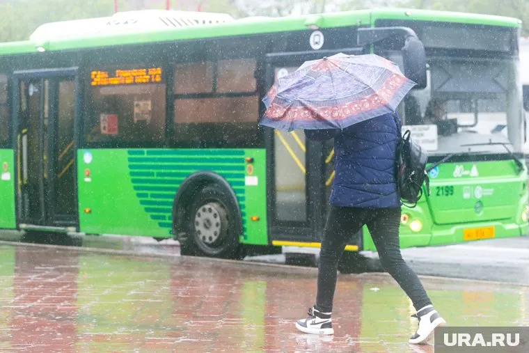 62% опрошенных скорее довольны общественным транспортом в России