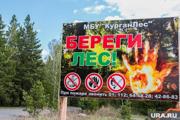О возгорании в лесах курганцы могут сообщить в единый номер лесной охраны 8-800-100-94-00