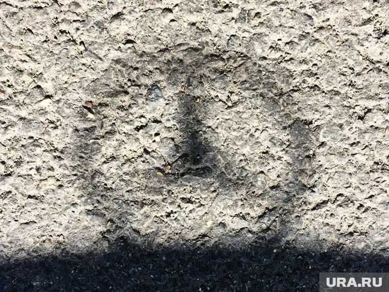 Иномарка сбила двух мужчин, у одного из них клиническая смерть