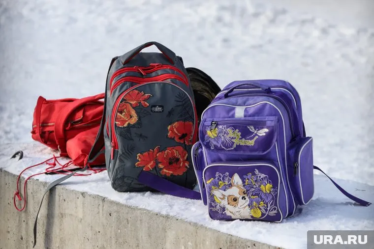 Пистолет девочка принесла в рюкзаке