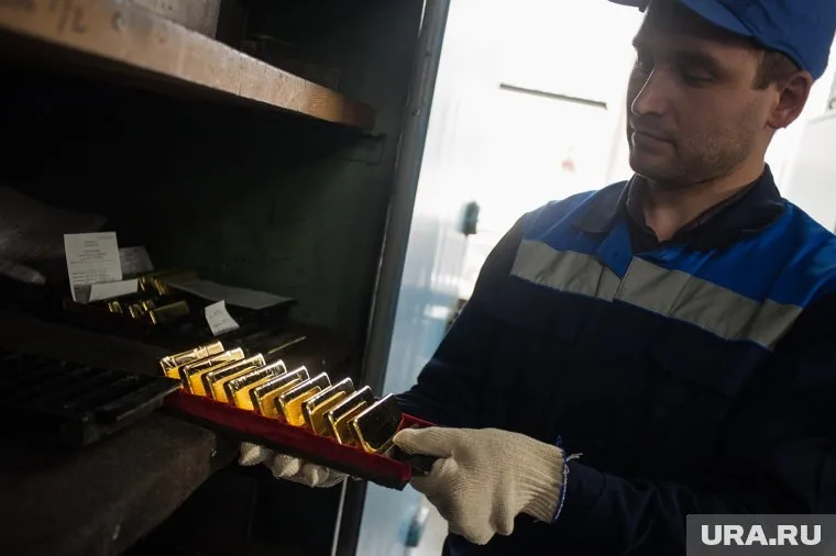 Ситуацию на «Ямалзолото» будут разбирать власти и прокуратура