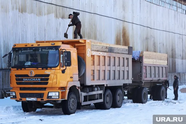 Курганская прокуратура следит за вывозом трупов животных со свалки