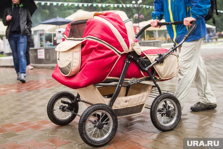 Для улучшения демографии общественный деятель также предложил повысить выплаты за рождение ребенка