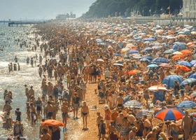 Бельгиец с тайскими эскортницами избили россиянку на пляже: ей грозит депортация