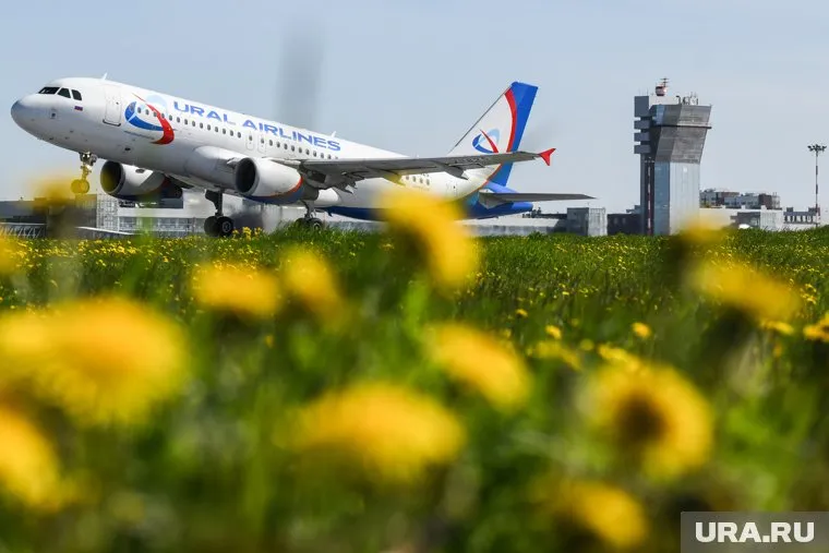 Авиакомпания не будет делать мерч с цитатами скандального сотрудника