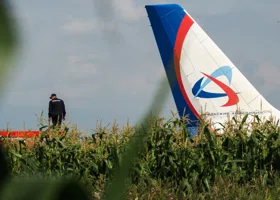 Фотография из галереи