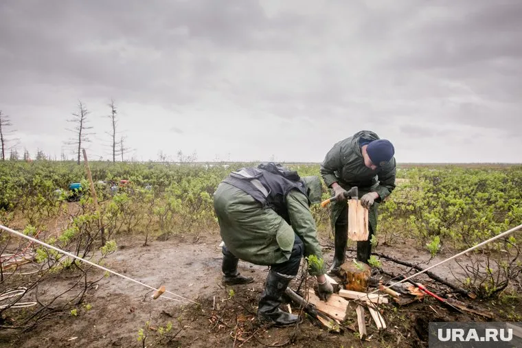Работающие на Крайнем Севере смогут досрочно получать пенсию