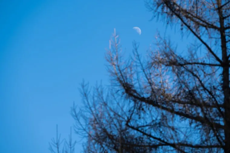 Апрель в городе. Пермь