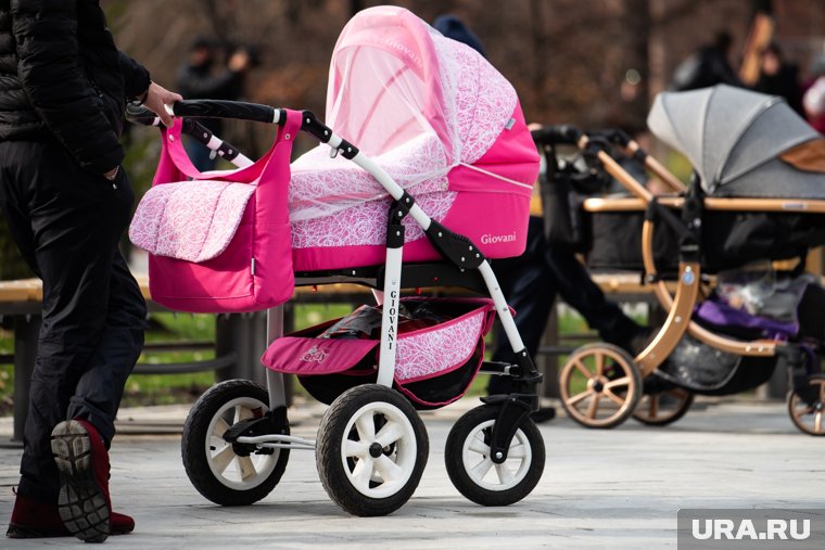 В России готовятся ввести новые меры для повышения рождаемости