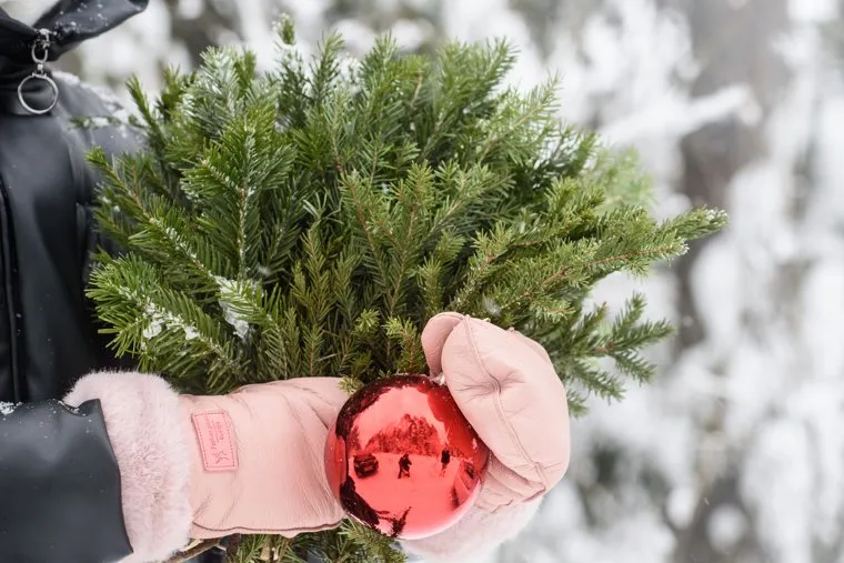 Пресс-тур в лесничество по заготовке новогодних елей. Первоуральск