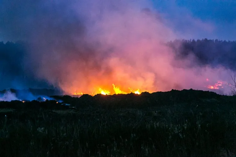 Полигон для сжигания боровских куриц и корма. Тюмень