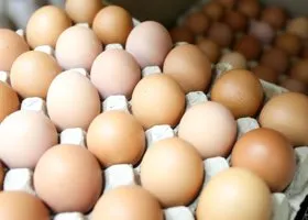 В России зафиксирован скачок цен на яйца