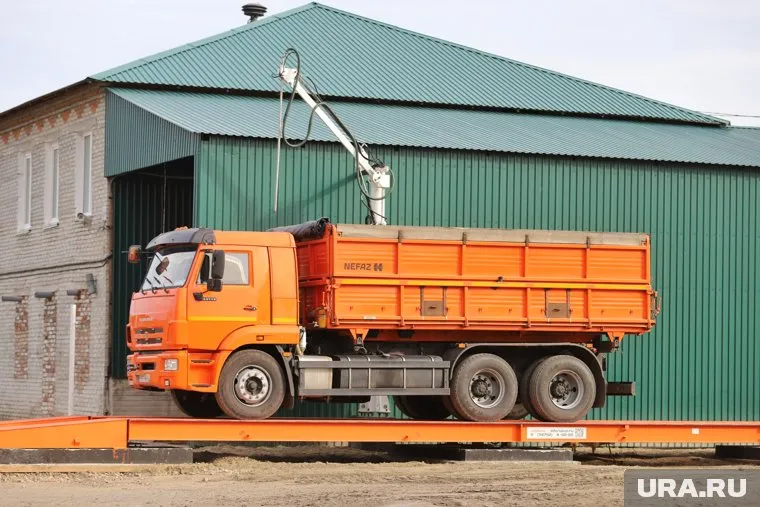 Мошенники не оплатили 600 тонн зерна (архивное фото)