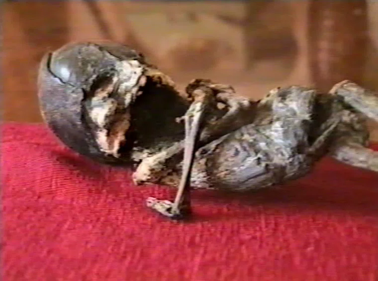 Гуманоида нашли в 1996 году