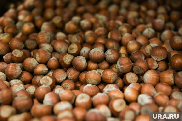 Орех бинлан негативно действует на нервную систему (архивное фото)