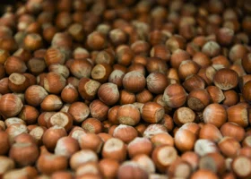 Baza: школьники России скупают на маркетплейсах опасный психотропный орех