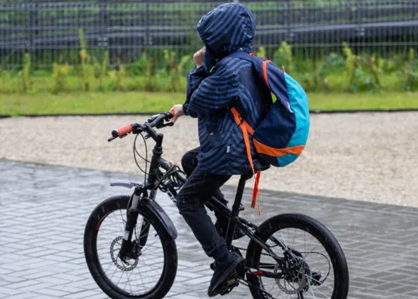 Фотография из галереи