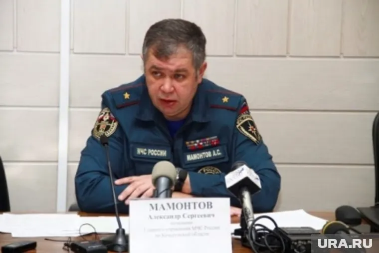 Мамонтов не признал вину по делу о пожаре в «Зимней вишне»