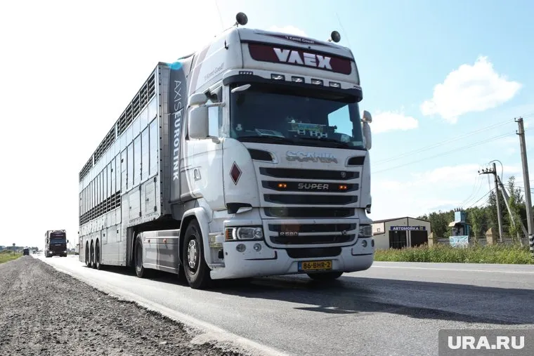 Ответственность за разрушенноое дорожное полотно хотят частично переложить на владельцев товара