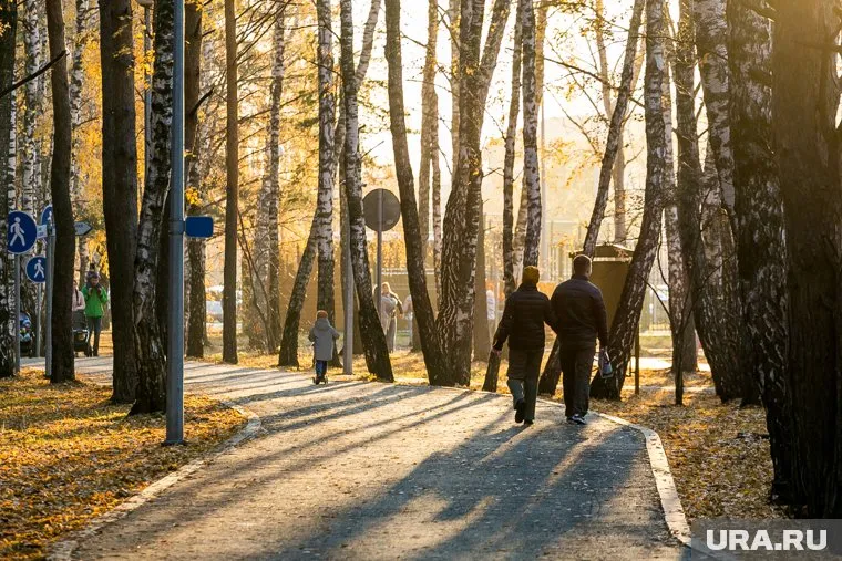 По условиям закупки, строить парк может только опытный подрядчик