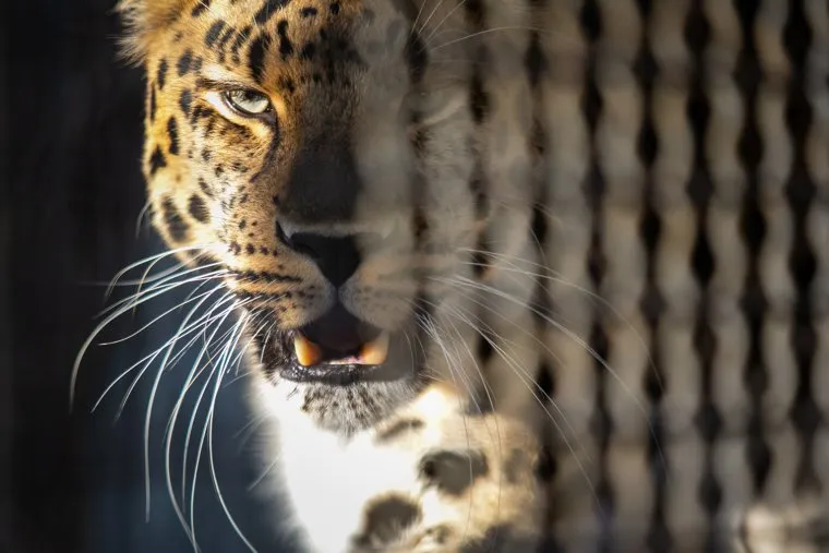 Московский зоопарк. Москва