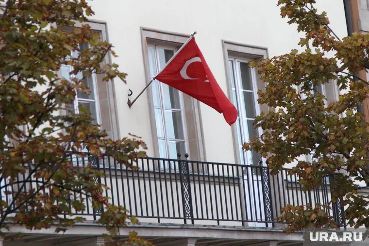 Татьяна Москалькова встретится с Дмитрием Лубинецевым в Турции