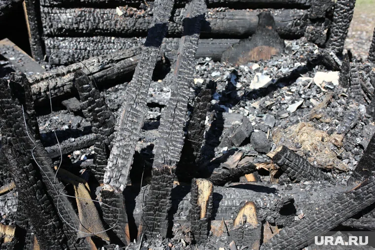 Огонь охватил территорию площадью 81 квадратный метр