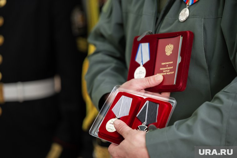 Ветеран СВО стал директором курганского департамента